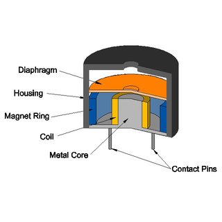 emsg_figure_1.jpg