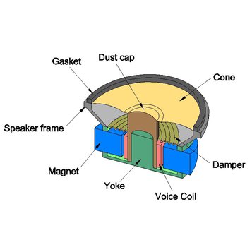 ssg_figure_2.jpg